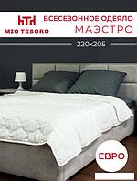 Одеяло Mio Tesoro Маэстро 220х205