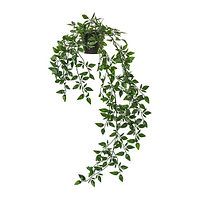 IKEA/ ФЕЙКА искусственное растение в горшке, д/дома/улицы/подвесной, 9 см