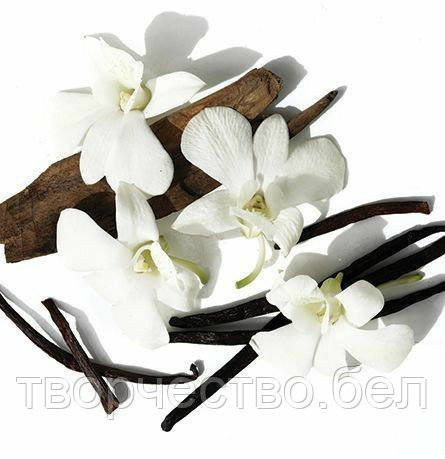Ароматизатор Lori Vanilla Blend по мотивам Z&R, 30 гр