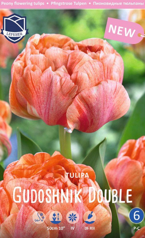 Тюльпан Гудошник Дабл 1шт МССО