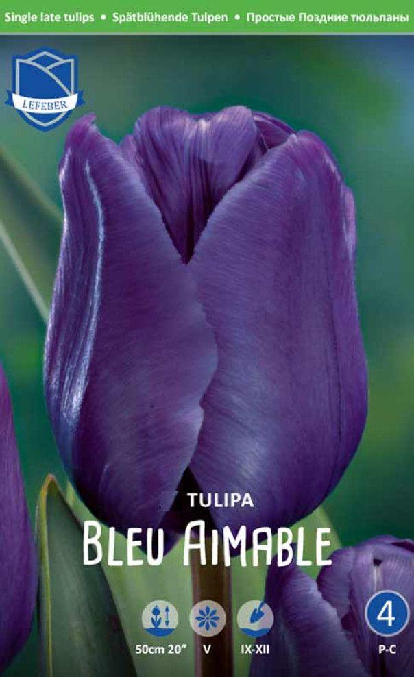 Тюльпан Блю Аимабле 1шт МССО
