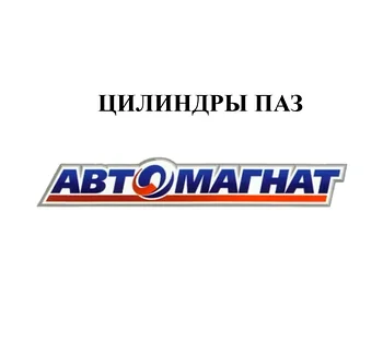 ЦИЛИНДРЫ ПАЗ