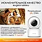 Поворотная камера видеонаблюдения IP WiFi Mivo Mi-001 (2.4 GHz,5 GHz), фото 10