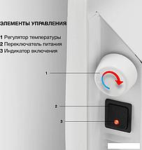 Конвектор StarWind SHV1010, фото 3