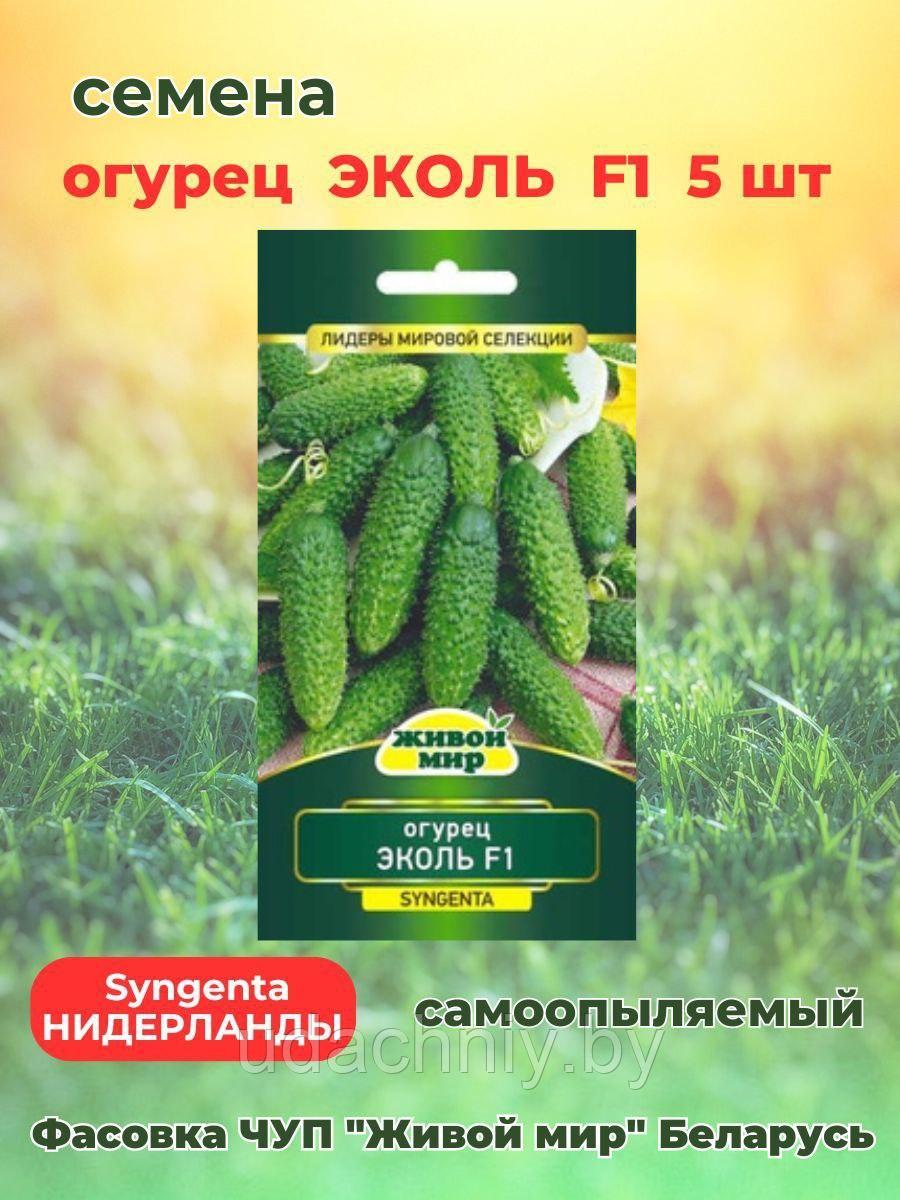 Огурец Экoль F1. 5 шт. "Живой Мир", Беларусь.