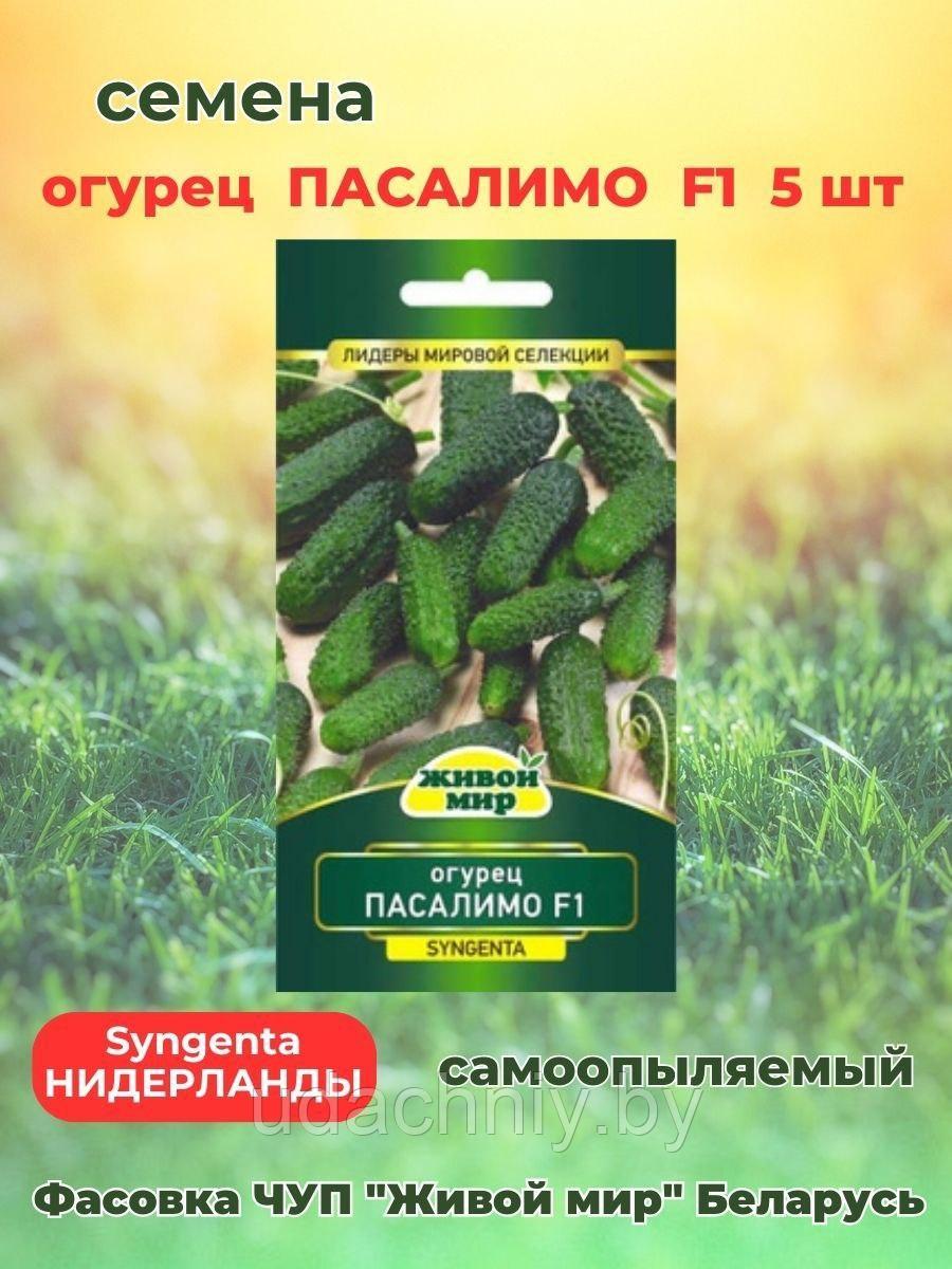 Огурец Пacaлимo F1. 5 шт. "Живой Мир", Беларусь.