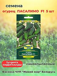 Огурец Пacaлимo F1. 5 шт. "Живой Мир", Беларусь.