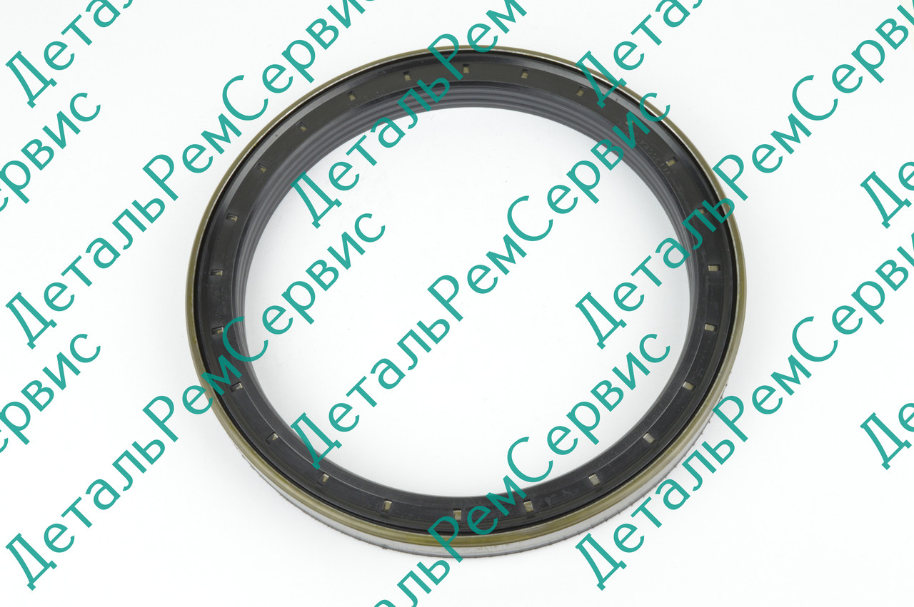 САЛЬНИК DANA 177.06.009.01