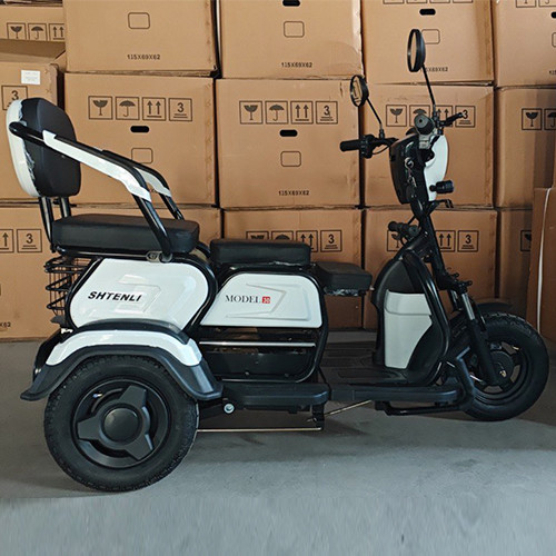 Электрический трицикл SHTENLI Model 30 SLA 12Ач48В (аккумулятор 4шт 12Ач12В)