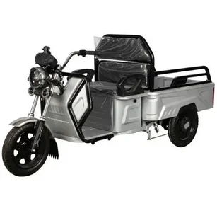 Грузовой Электрический трицикл Shtenli Model 90 60V