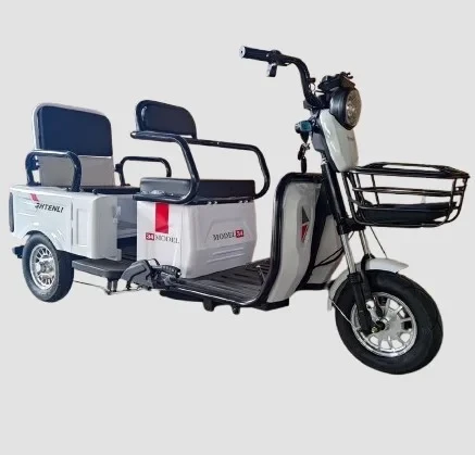 Электрический трицикл 2в1 Shtenli Model 34 48V