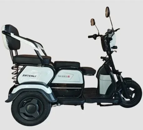 Электрический трицикл Shtenli Model 30 48v12A