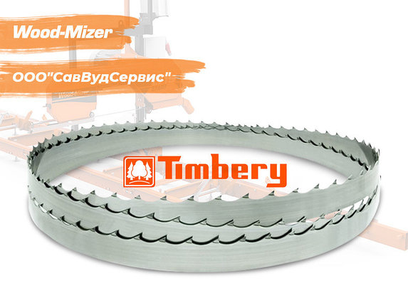 Пила ленточная Timbery 38 х 1,14 x 4670, фото 2