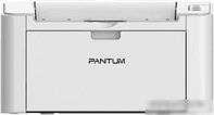 Принтер Pantum P2200