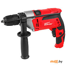 Дрель ударная DS 1611 WORTEX DS161100029