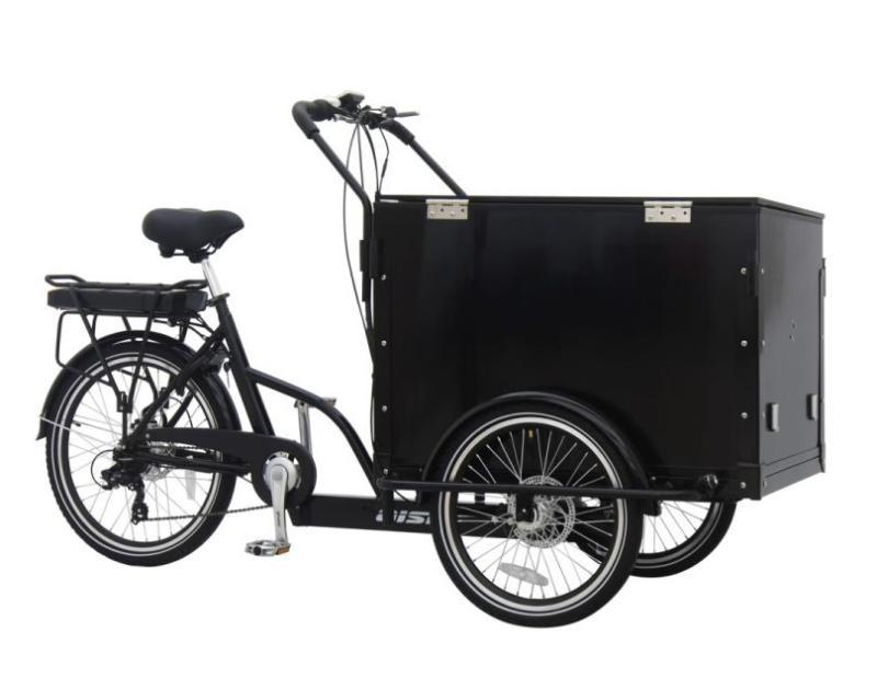 Трехколесный электровелосипед Aist E-CARGO Уценка