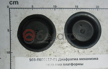 503-8606117-01 Диафрагма