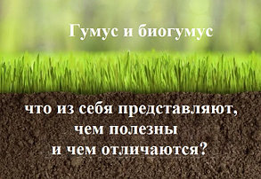 Гумус и биогумус - что это, чем полезны и чем отличаются?
