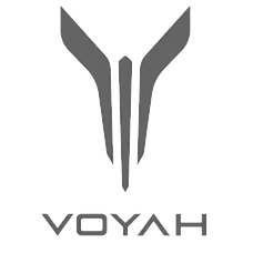 Коврики в VOYAH