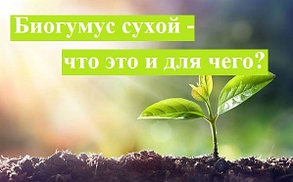 Удобрение биогумус сухой - что это и для чего?