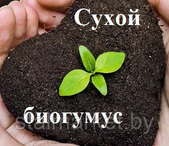 Сухой биогумус 