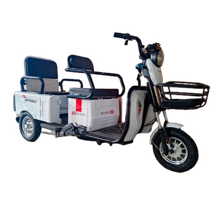 Электрический трицикл SHTENLI Model 34 SLA 20Ач48В (2в1), фото 2