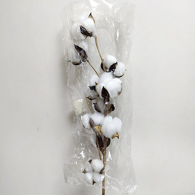 Ветка  хлопка 57 см