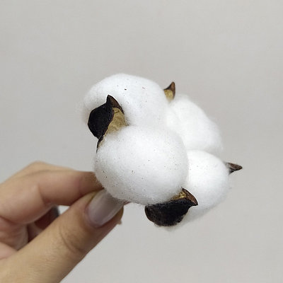 Головка хлопка 6.5 см