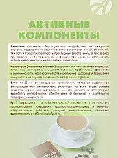 Кофе БЕЗ САХАРА Иммуно актив, фото 3