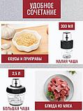Измельчитель 2в1 DSP (300 W, 2500+300 ml, 2 скорости, стекло) KM4072U, фото 4