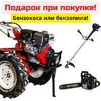 Мотоблок Shtenli 1900 PRO (16-Р) с ВОМ