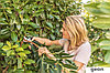 EasyPrune, фото 2