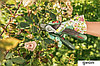 EasyPrune, фото 3