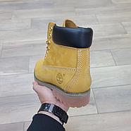 Ботинки Timberland 6 Inch Light Brown, фото 4