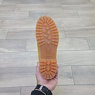 Ботинки Timberland 6 Inch Light Brown, фото 5