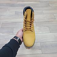 Ботинки Timberland 6 Inch Light Brown, фото 3