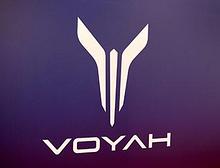 Автомобильные коврики в салон и багажник для Voyah