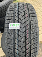 Автошины Arivo Winmaster ProX ARW5 275/40R20 106H