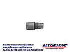 AM.F00N010082 Клапан ограничения давления распределительной головки дв. ЯМЗ-5344 Е (АМ) (80), фото 2