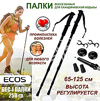 Палки для скандинавской ходьбы всесезонные  WP-05