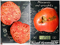 Томат Зураб Кухинидзе (8 шт)