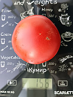 Томат КУМИР (10 семок)