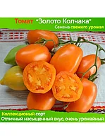 Томат Золото Колчака (5 семок)