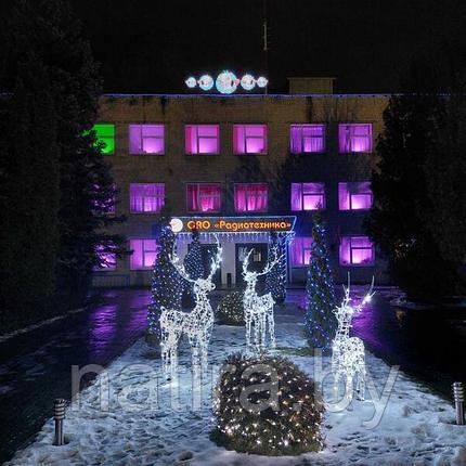 Световая композиция Семья Оленей 1,9 м 24В серия Каркас, фото 2