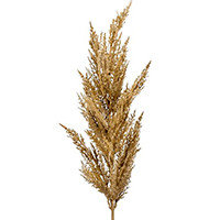 Злаки и сухоцветы