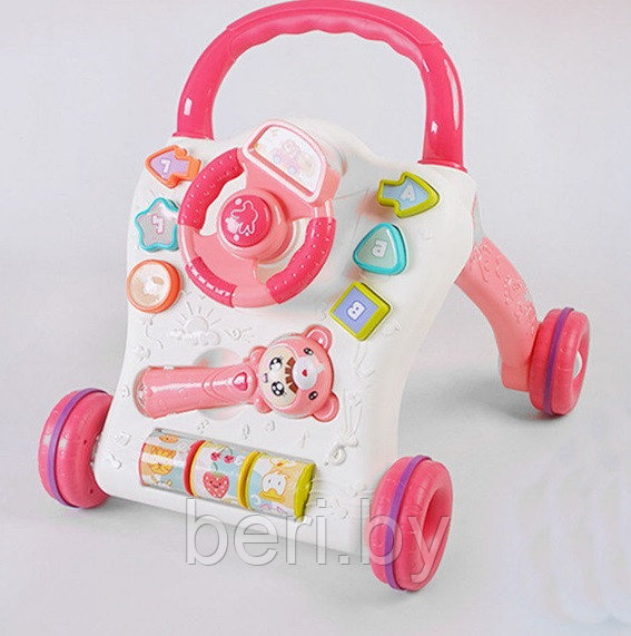 Игровой центр-каталка, ходунки Funny Baby, микрофон, 698-63