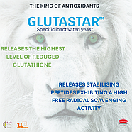 Инактивированные дрожжи Glutastar для защиты от окисления (40 г), фото 3