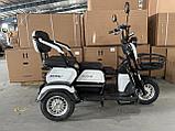 Электротрицикл SHTENLI Model 31 (SLA  20Ач 60В), фото 5