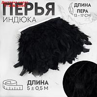 Тесьма с перьями 13-17см*5±0,5м индейка чёрный АУ