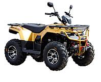 Квадроцикл IRBIS ATV200 PREMIUM желтый